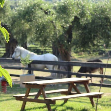 Honigtal Farmland Βίλα Άγιος Γεώργιος Πάγων Εξωτερικό φωτογραφία