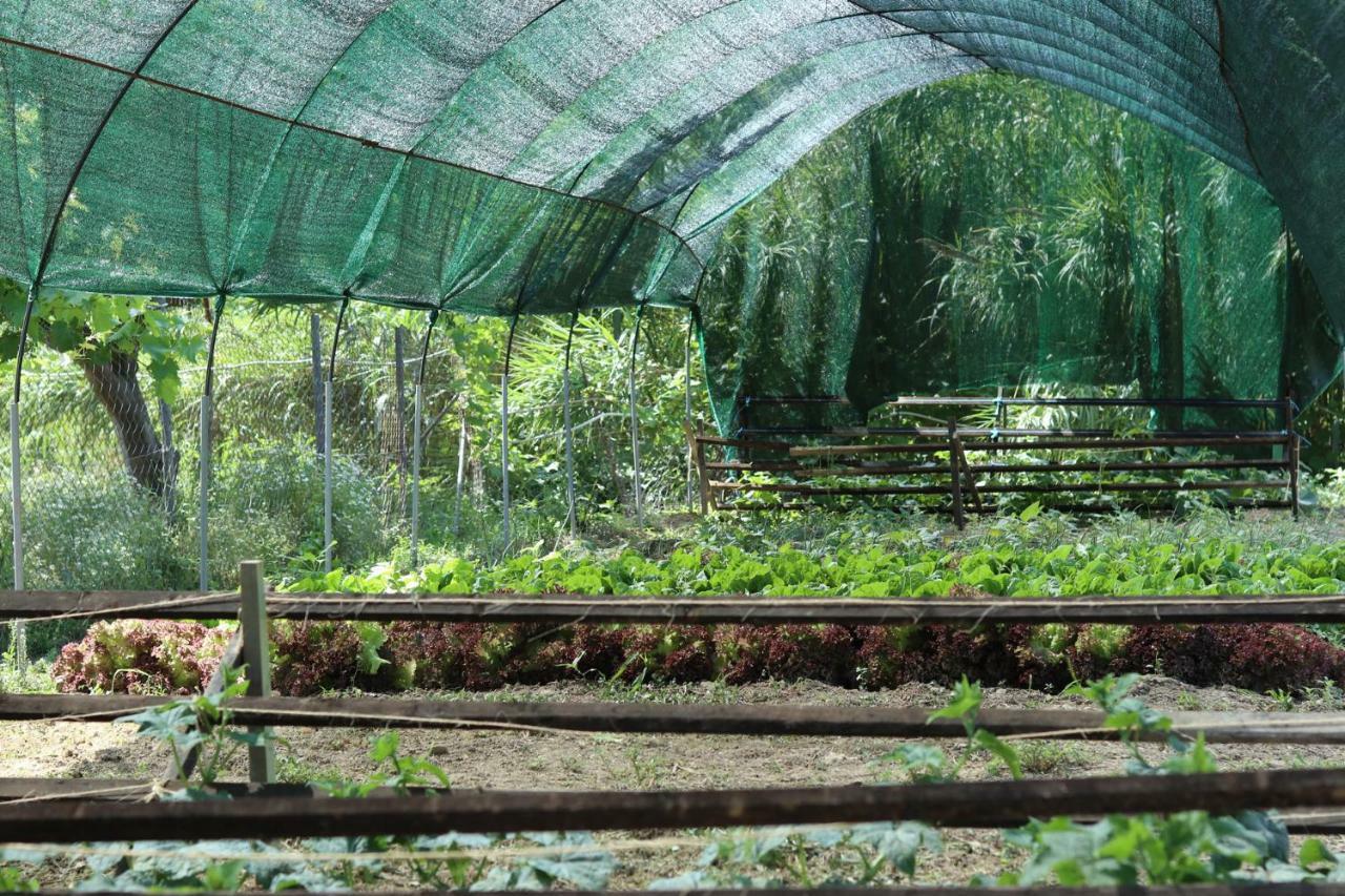 Honigtal Farmland Βίλα Άγιος Γεώργιος Πάγων Εξωτερικό φωτογραφία