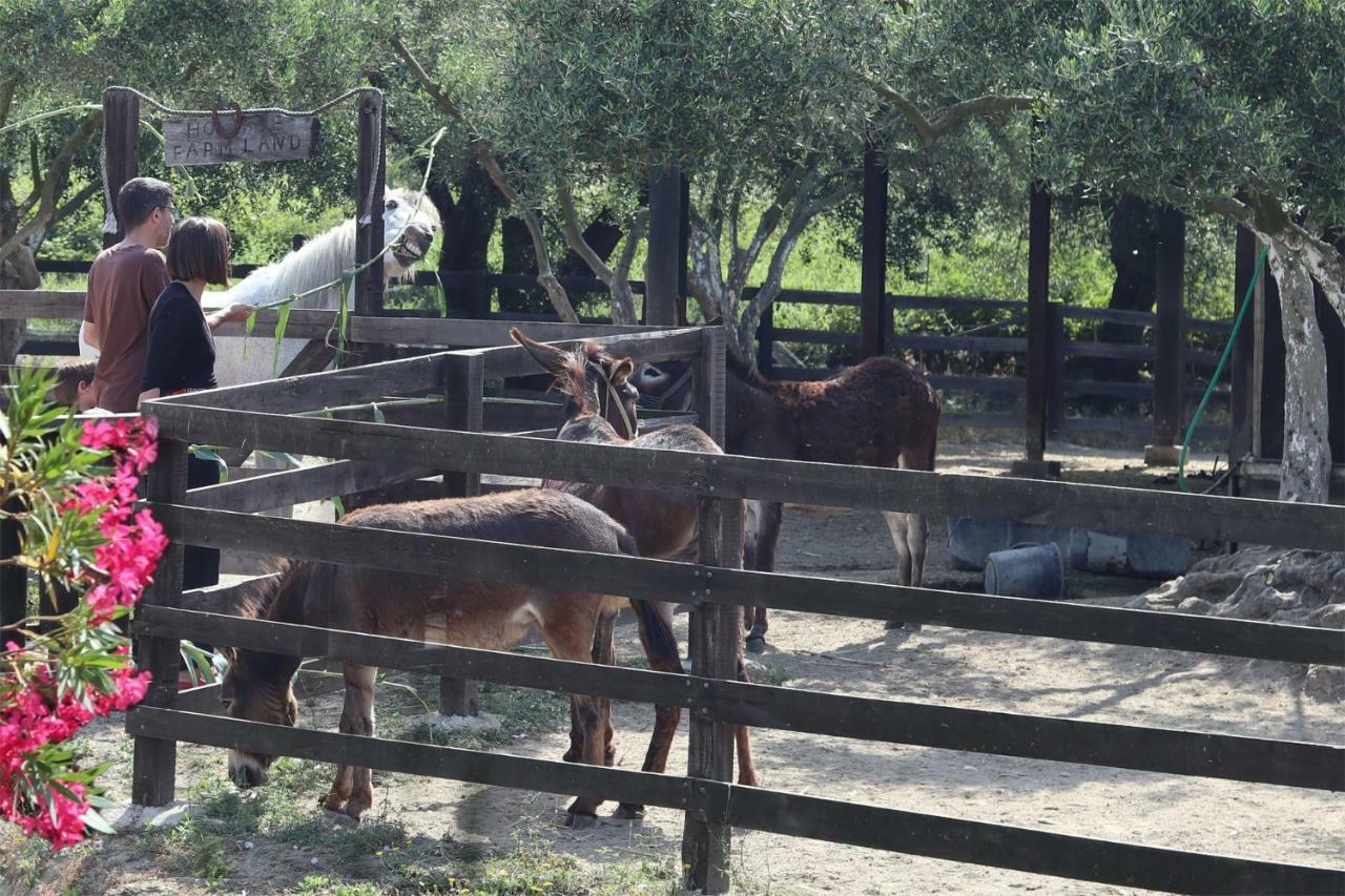 Honigtal Farmland Βίλα Άγιος Γεώργιος Πάγων Εξωτερικό φωτογραφία